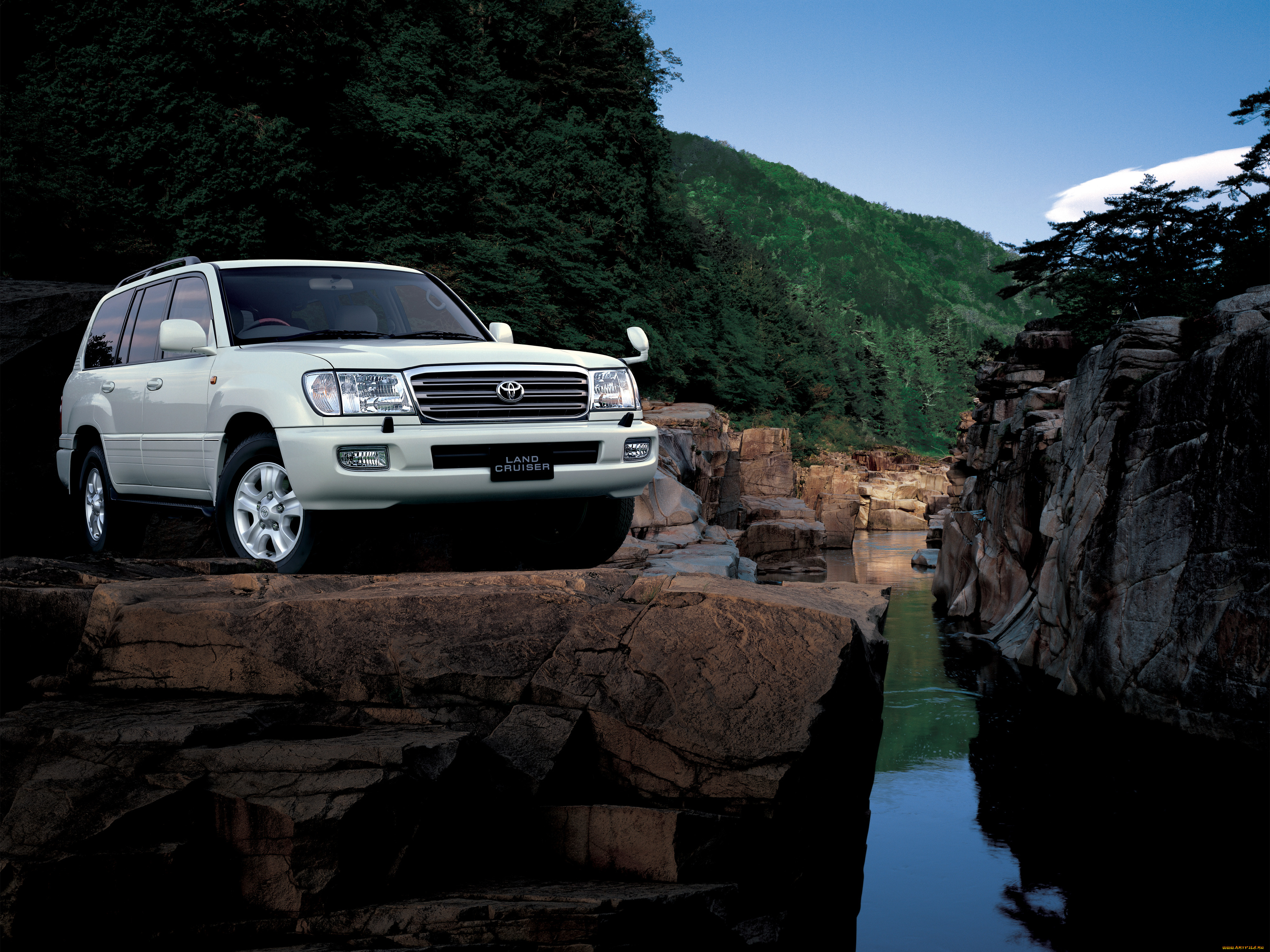 , toyota